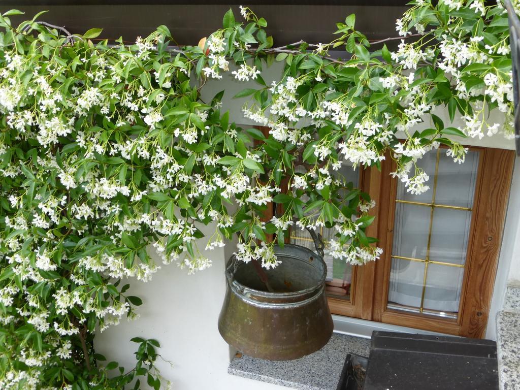 Bed & Breakfast Alpe Veglia Varzo
