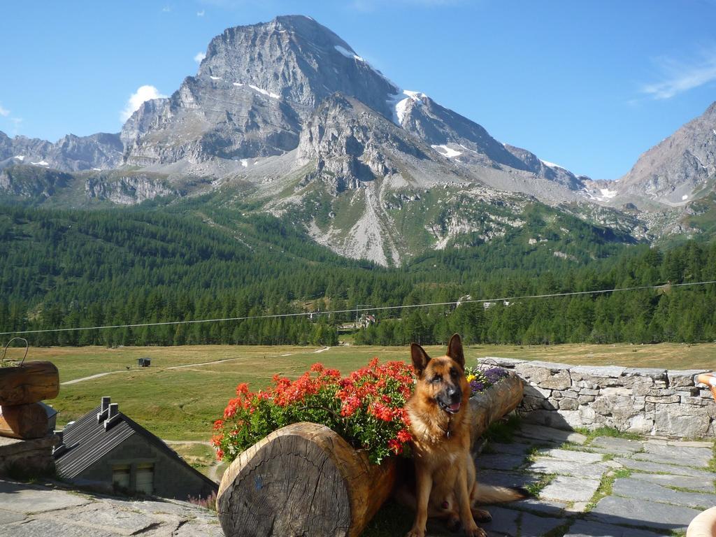 Alpe Veglia *