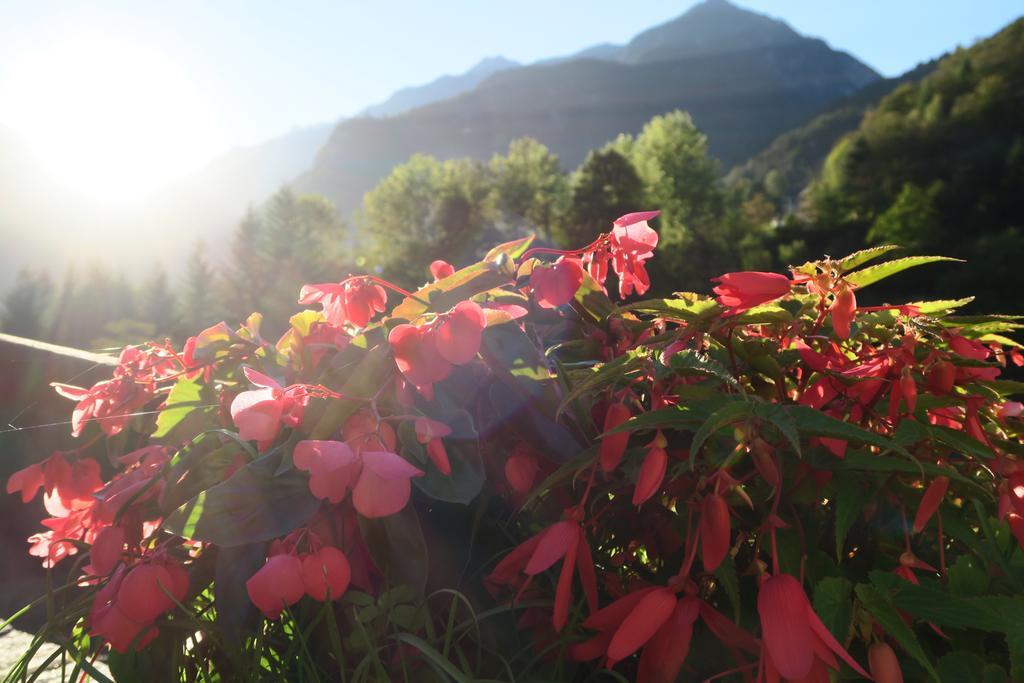 Alpe Veglia Bed & Breakfast *