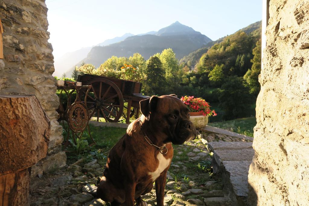 Alpe Veglia * Varzo