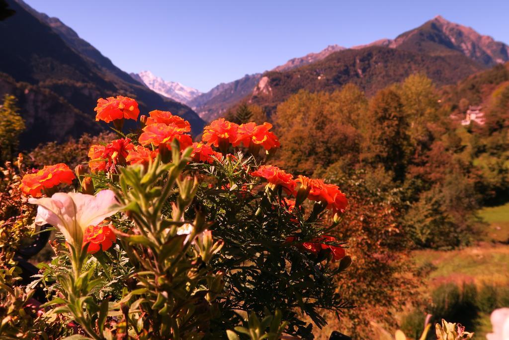 Alpe Veglia Varzo