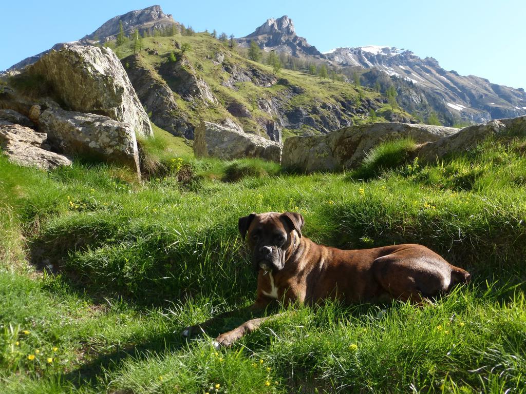 Alpe Veglia * Varzo