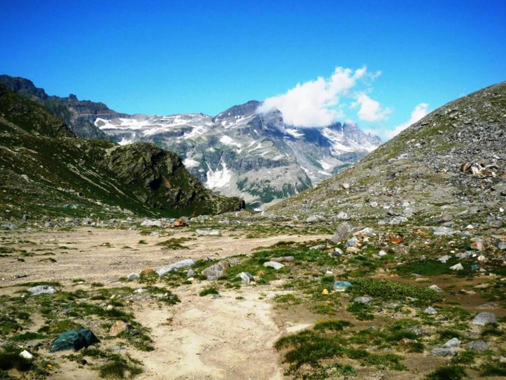 Alpe Veglia *