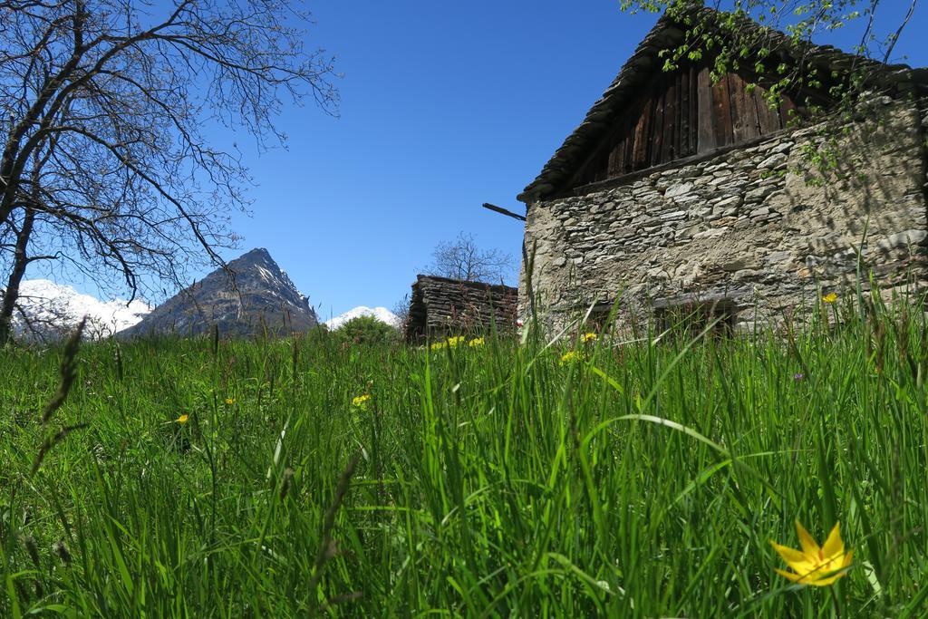 Bed & Breakfast Alpe Veglia Varzo