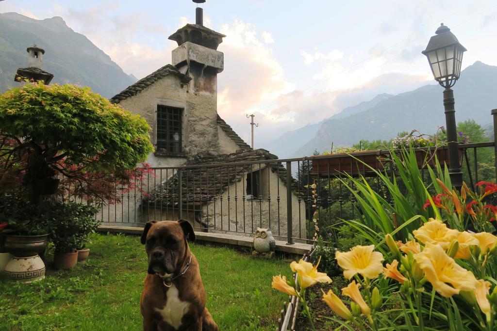 Bed & Breakfast Alpe Veglia *