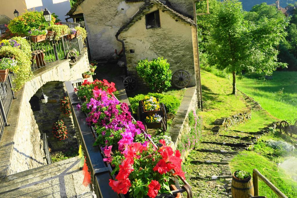 Alpe Veglia