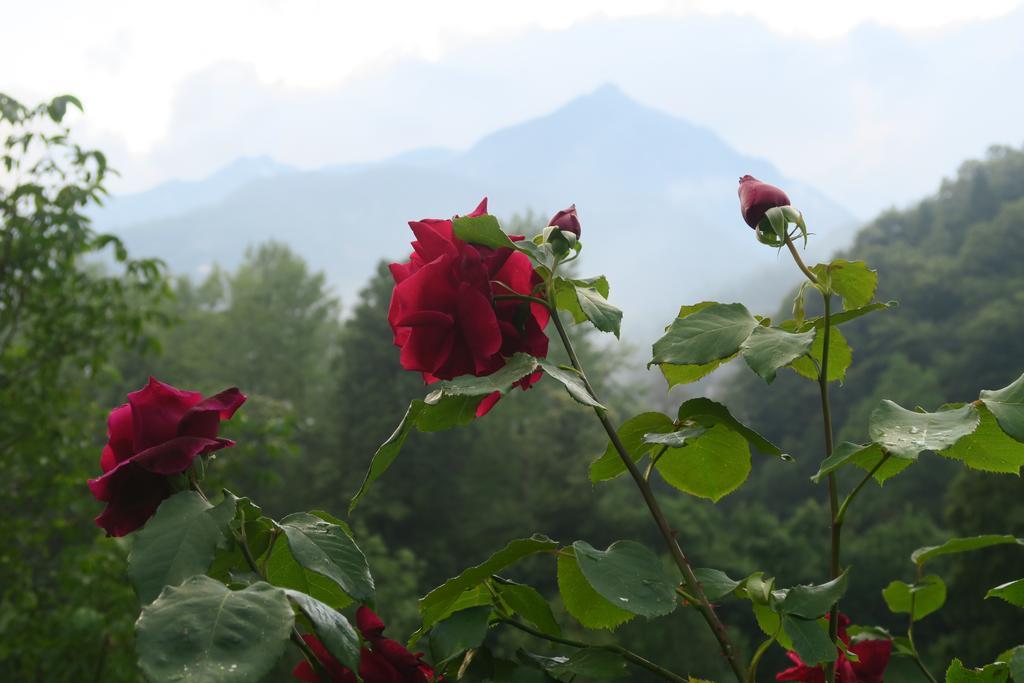 Alpe Veglia Varzo