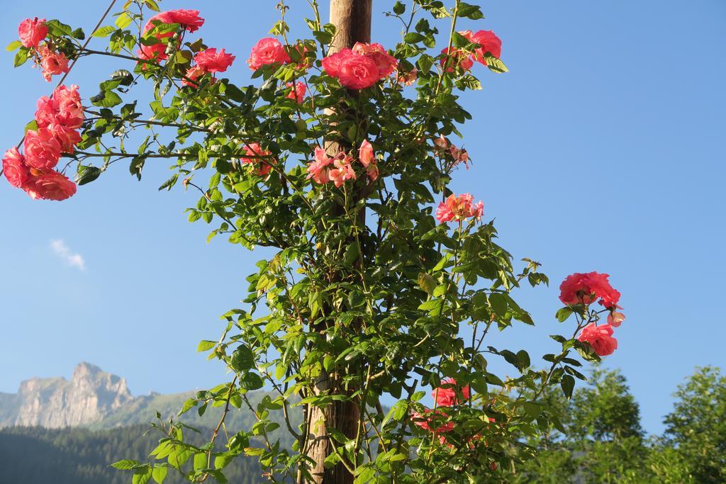 Alpe Veglia * Varzo