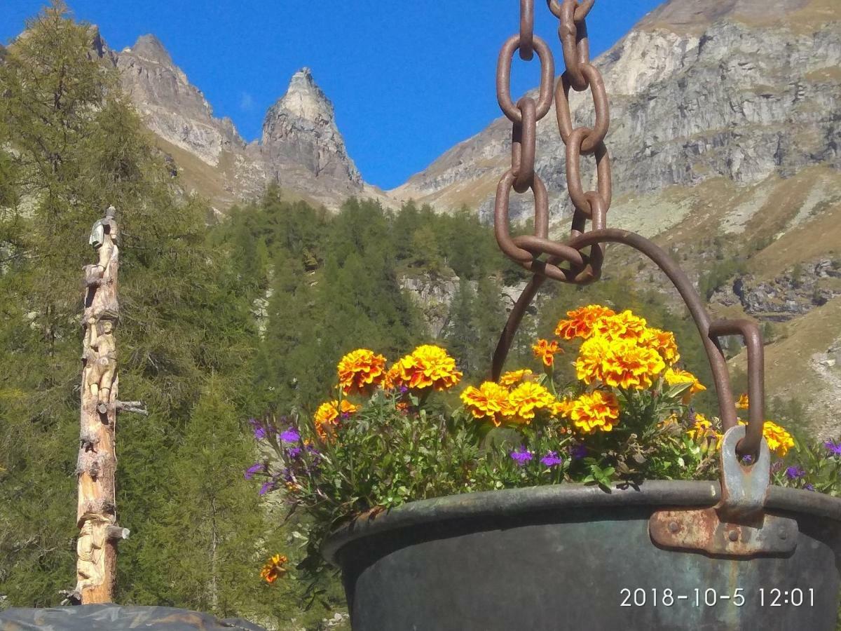 Bed & Breakfast Alpe Veglia