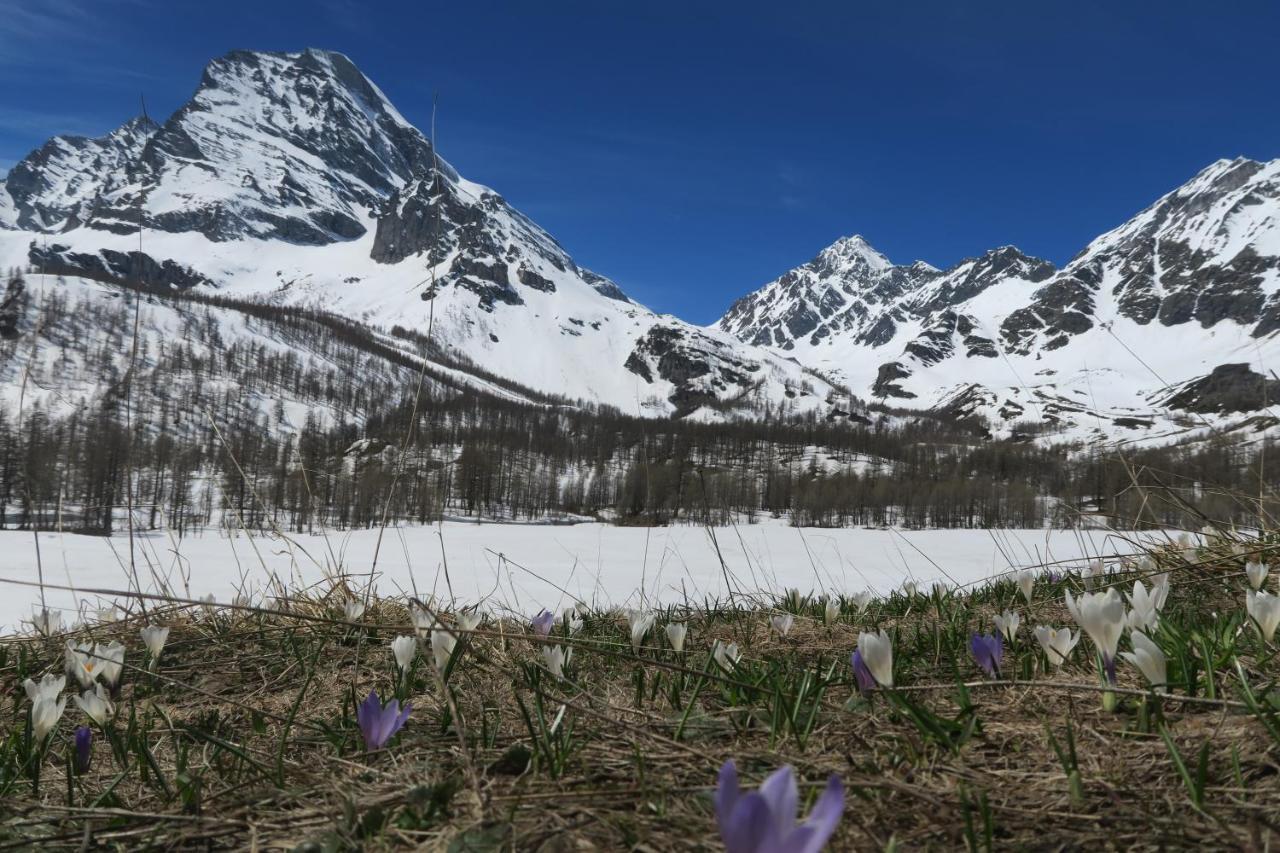 Alpe Veglia Bed & Breakfast